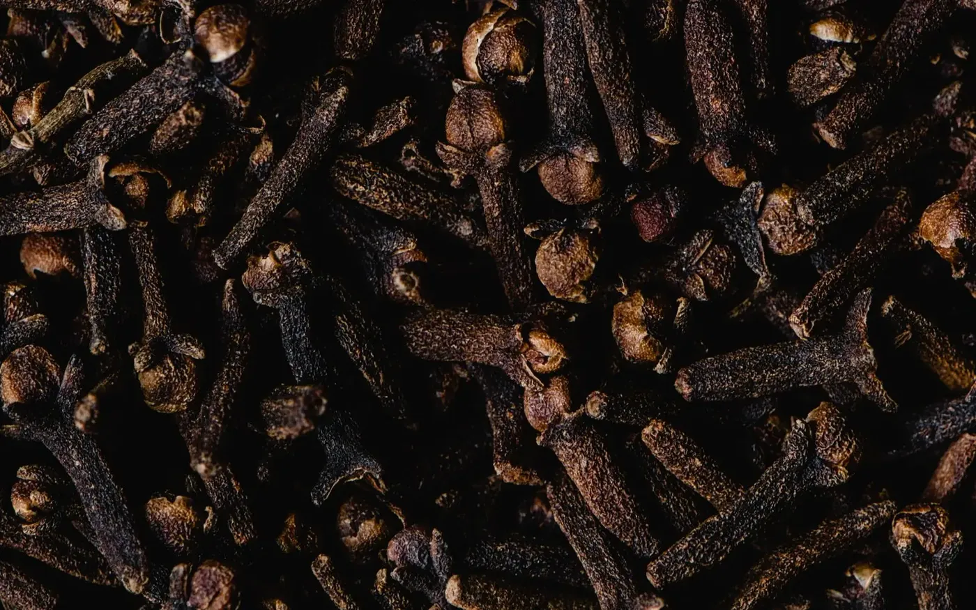 Clous de girofle sombres (photo d'illustration)